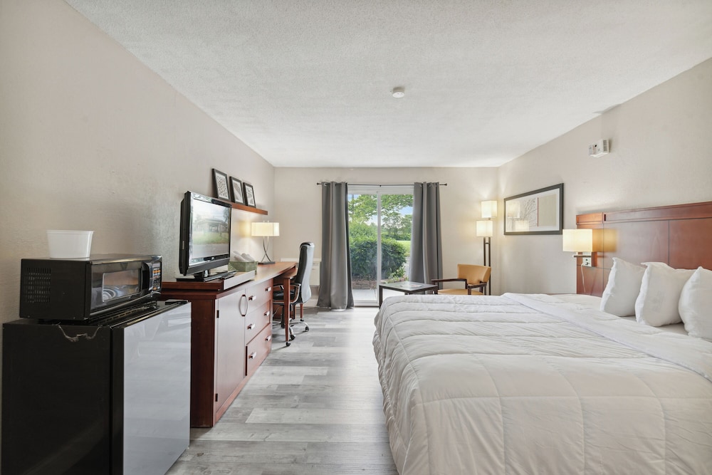 Classic Single Room, 1 King Bed photo 1