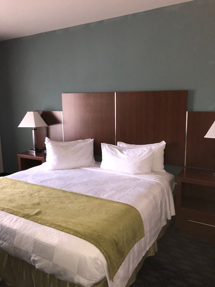 Business Single Room, 1 King Bed