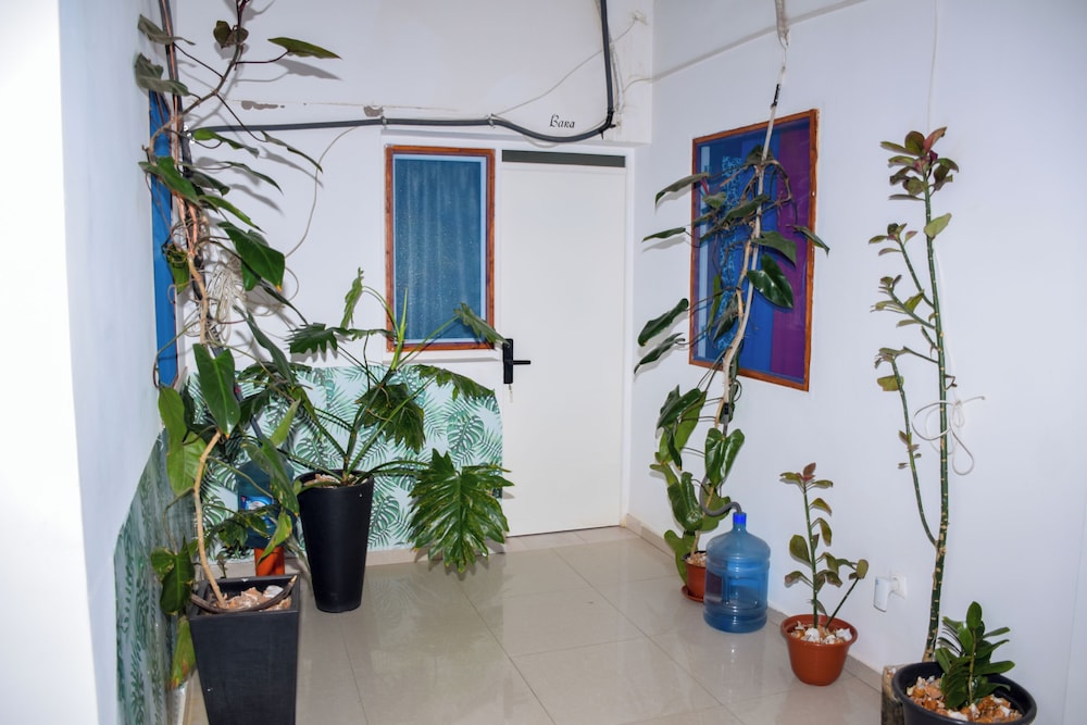 Basic Room, Non Smoking, Courtyard View photo 3