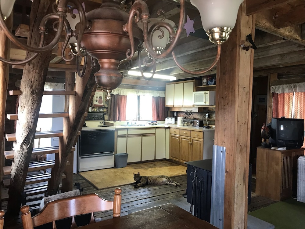 Economy Room, 1 Bedroom, Hill View photo 1