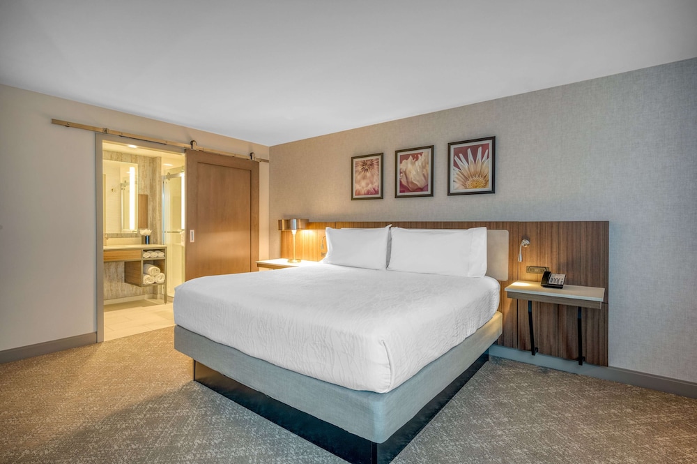 Studio Suite, 1 King Bed