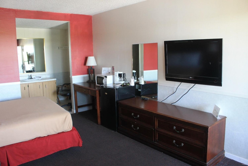 Basic Single Room photo 1