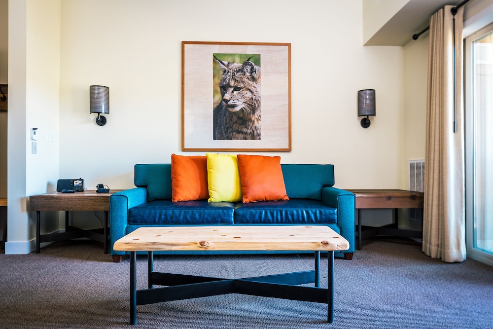 Suite (Lodge) photo 3