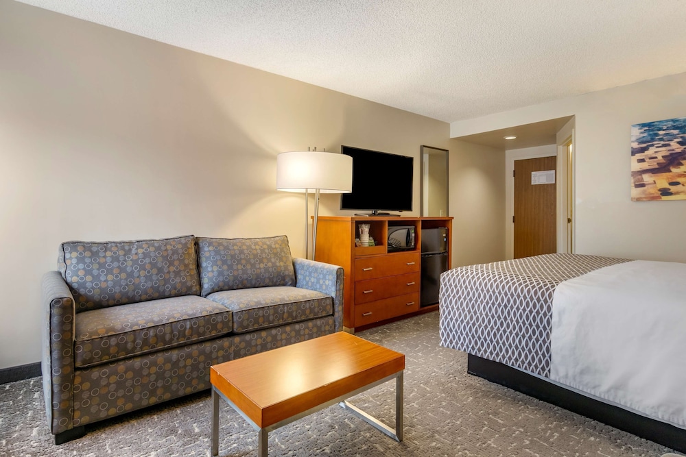 Standard Room, 1 King Bed, Non Smoking, Refrigerator & Microwave - Photo 4