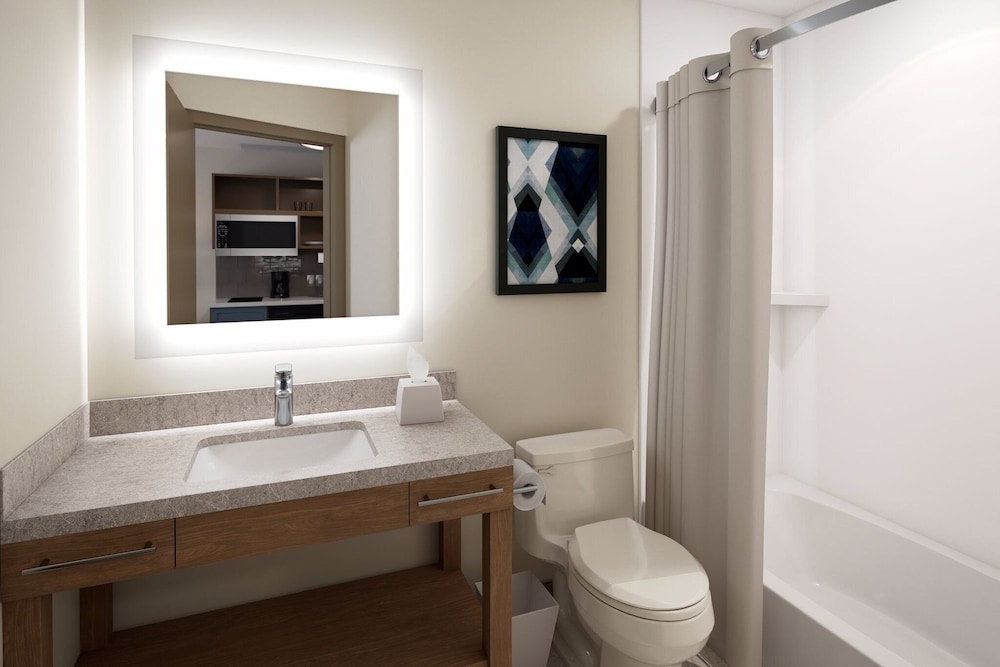 Studio Suite, 1 King Bed photo 3
