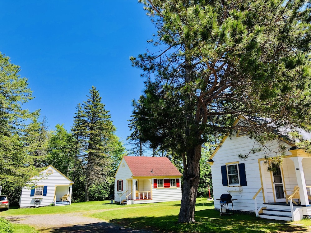Classic Cottage, Kitchen, Courtyard View photo 1