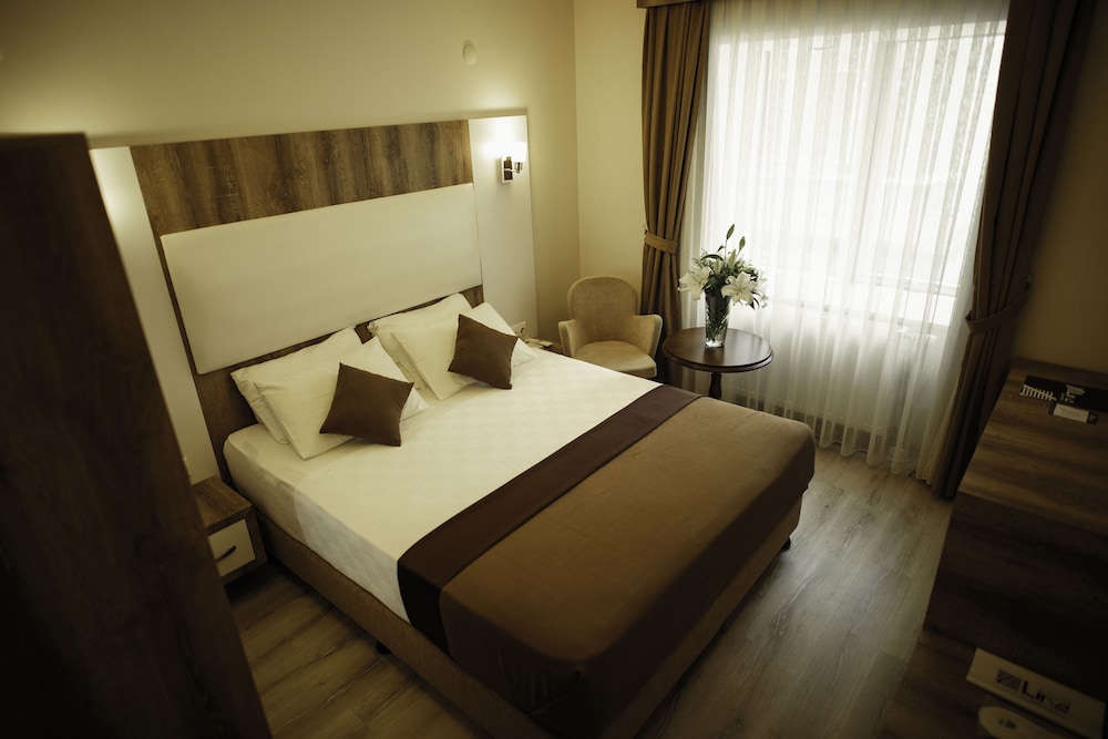Standard Double Room, 1 Queen Bed, Non Smoking, City View photo 1