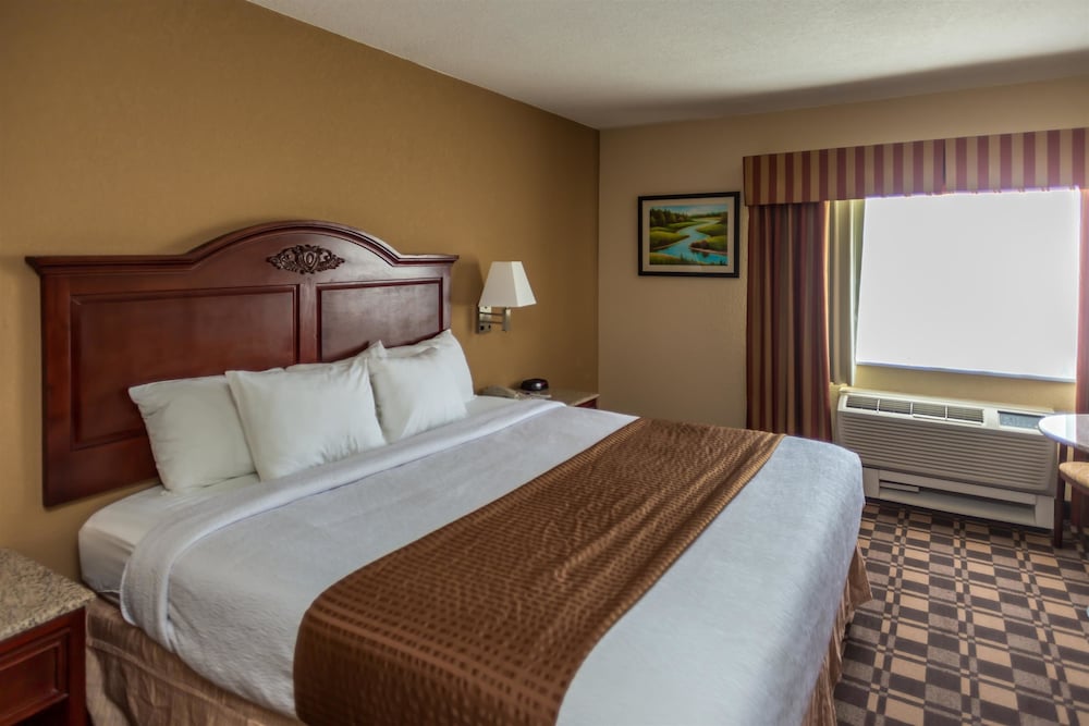 Standard Room, 1 King Bed, Accessible, Refrigerator & Microwave - Photo 1