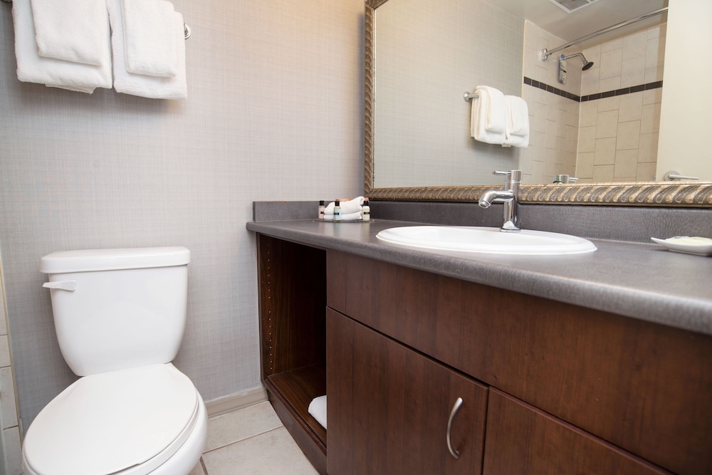 Suite, 1 Queen Bed, City View thumbnail 5