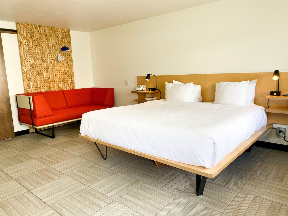 Standard Room, 1 King and Sofa (Dog Friendly) photo 1