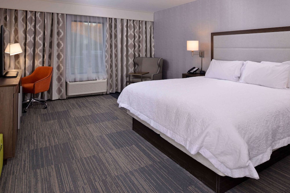 Room, 1 King Bed, Accessible, Bathtub (Hearing & Mobility) photo 2