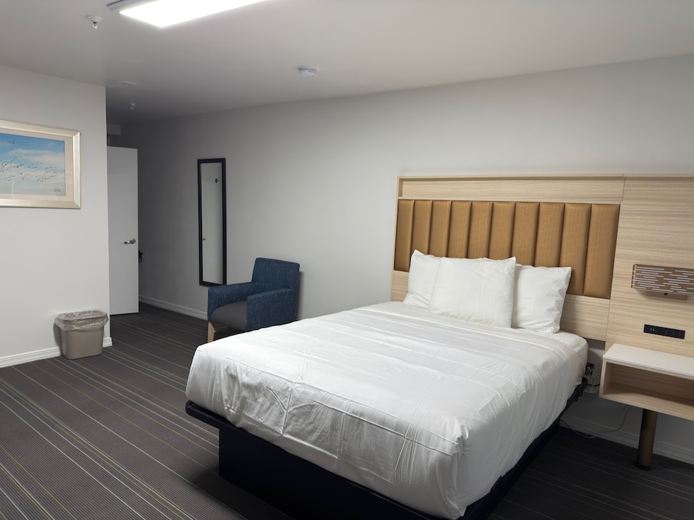Standard Room, 1 Queen Bed, Mobility Accessible