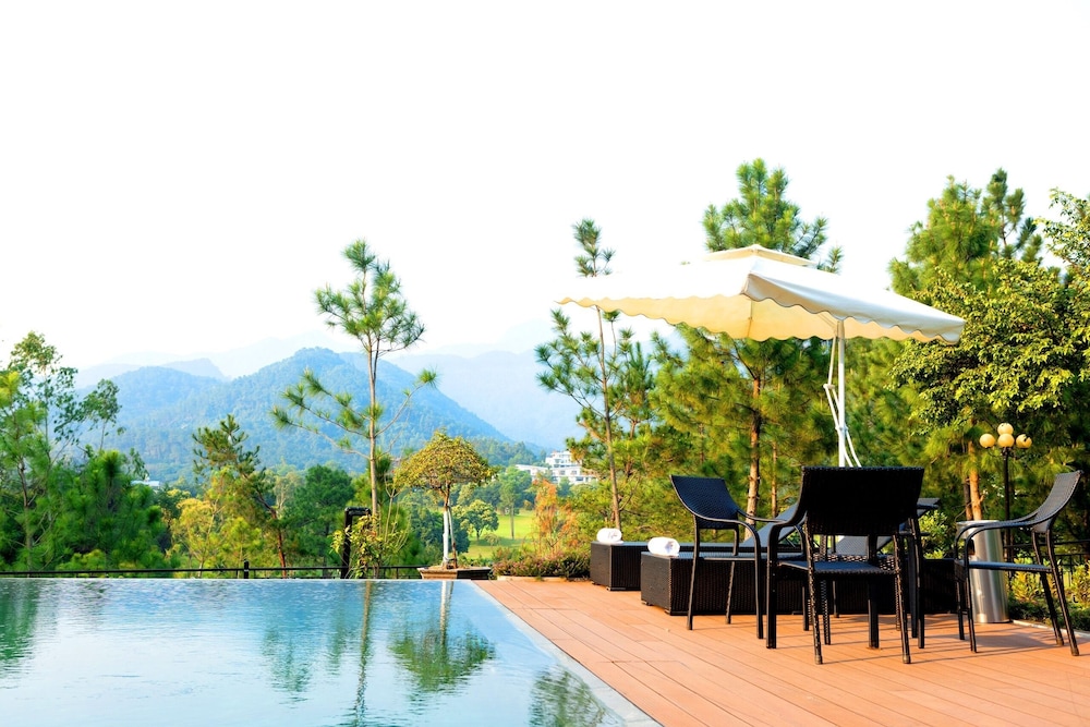 Premium Villa photo 3