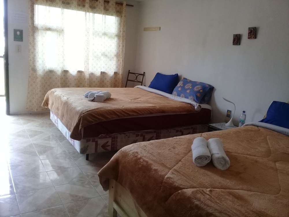 Quadruple Room, 2 Double Beds