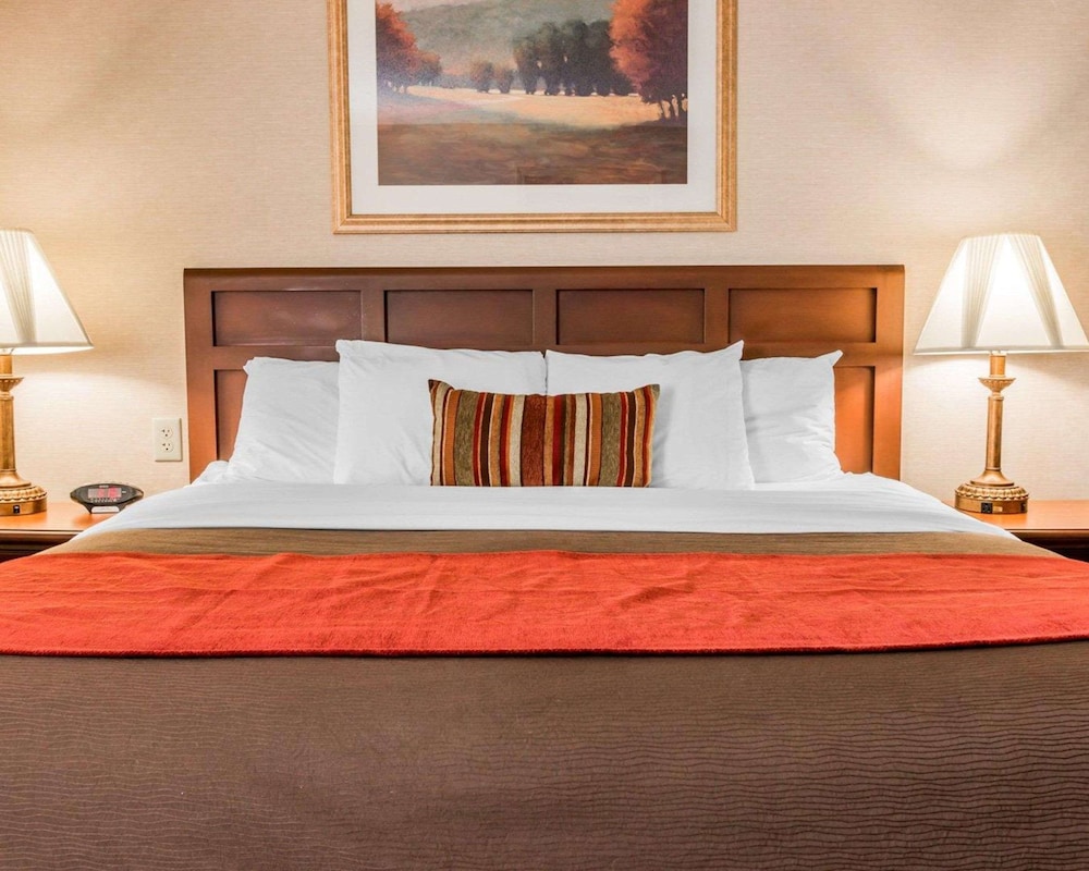 Standard Room, 1 King Bed With Sofa Bed, Non Smoking photo 2