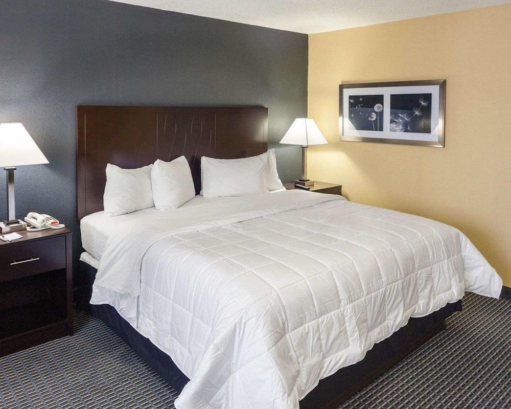 Deluxe Room, 1 King Bed with Sofa bed (2 Person Sofa Bed) - Photo 2