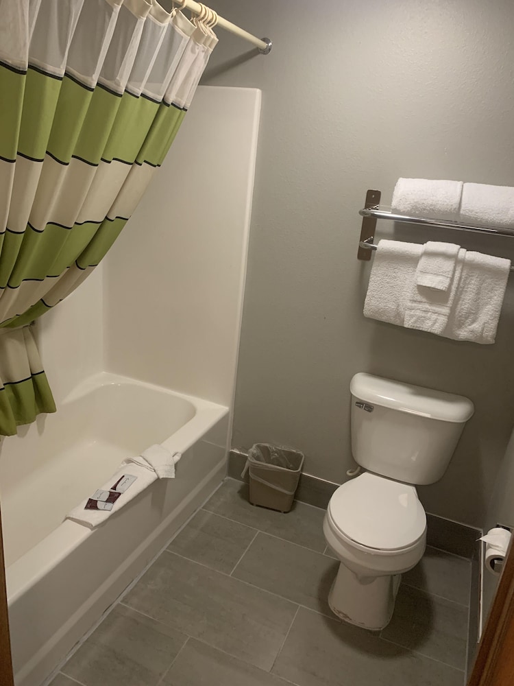 Standard Room, 2 Queen Beds, Refrigerator & Microwave photo 3