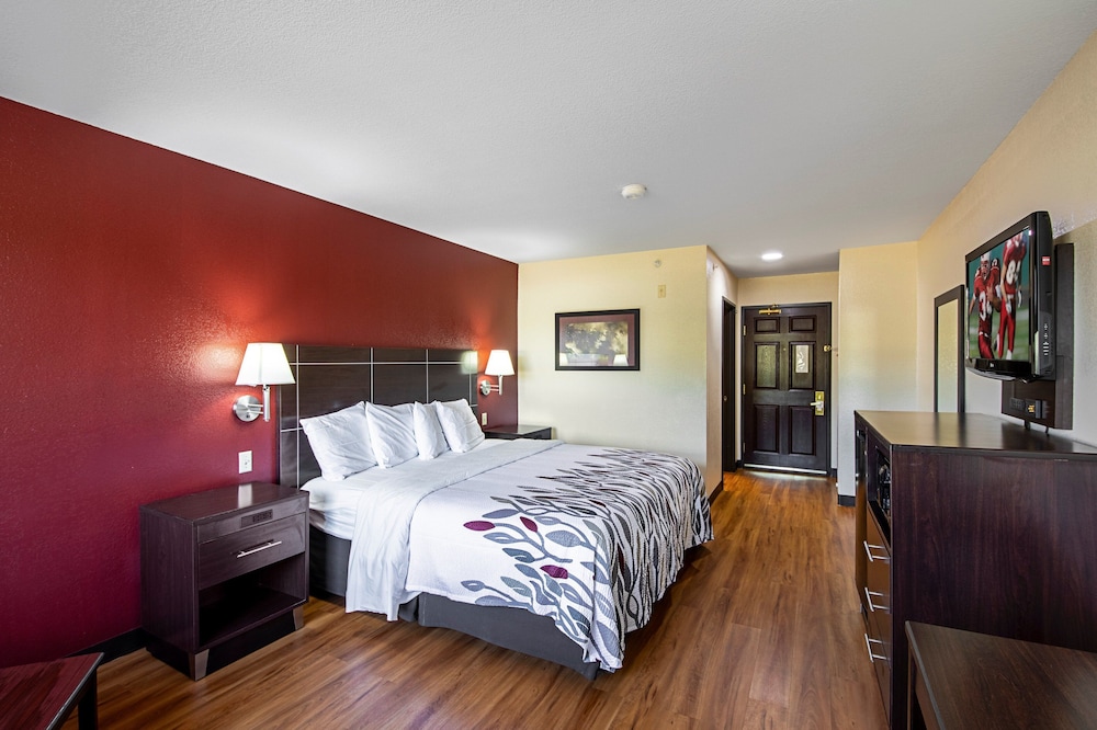 Deluxe Room, 1 King Bed, Accessible, Non Smoking (Roll-In Shower) - Photo 4