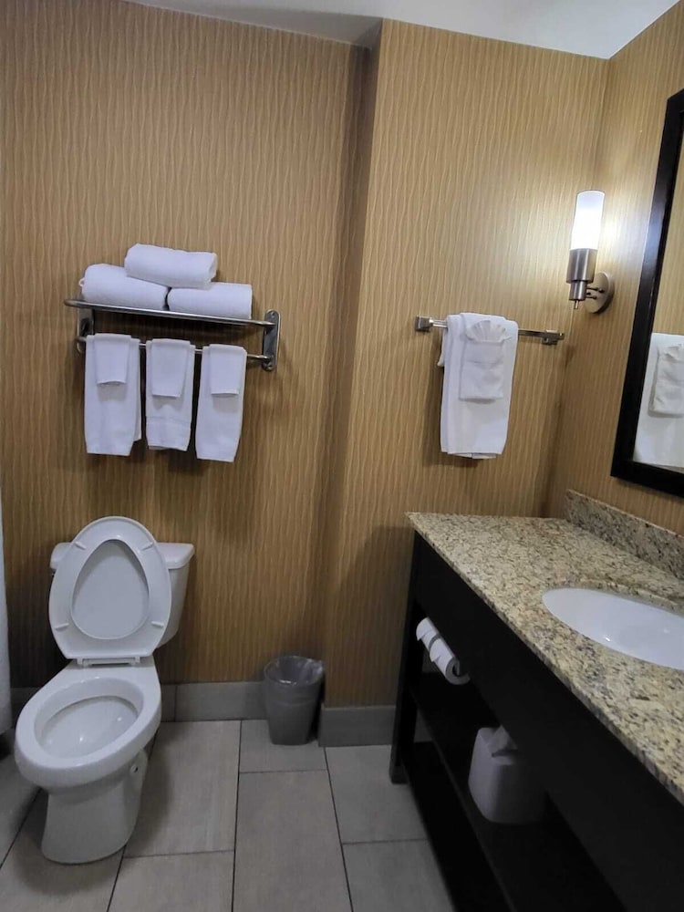 Standard Room, 1 King Bed, Accessible (Roll-In Shower) - Photo 3