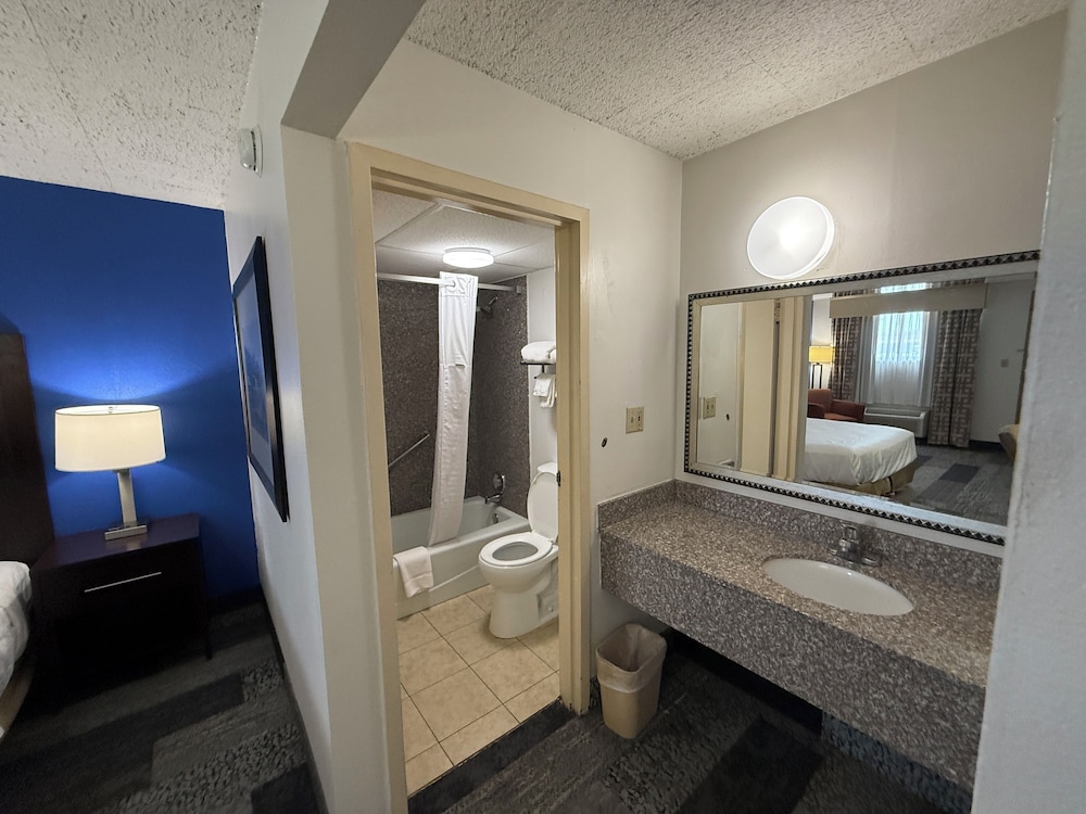 Single Room, 1 King Bed photo 3