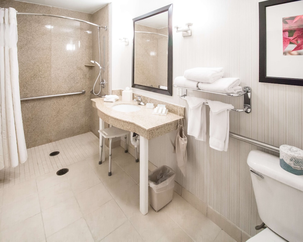 Junior Suite, 1 King Bed, Mobility Accessible, Roll-In Shower - Photo 4