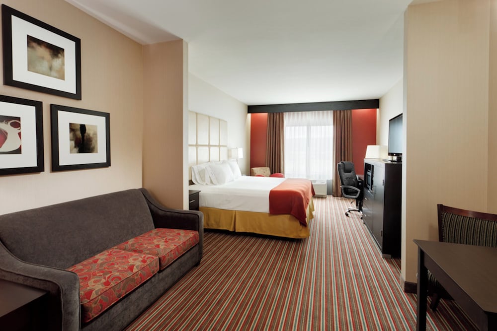 Suite, 1 King Bed with Sofa bed photo 1