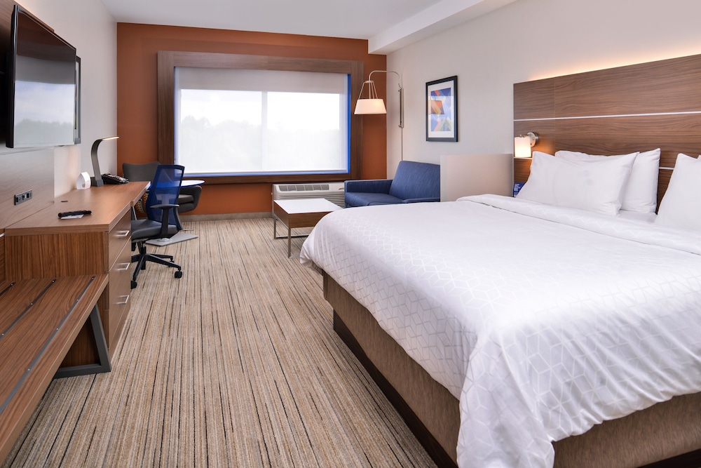 Suite, 1 King Bed, Accessible, Non Smoking (Hearing) photo 3