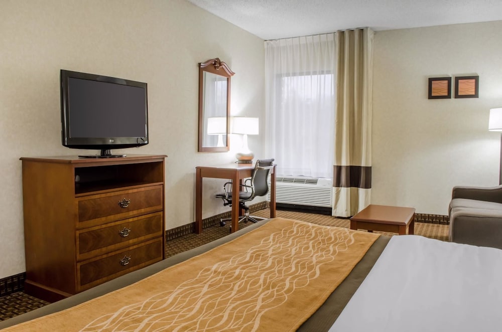 Standard Room, 1 King Bed with Sofa bed, Non Smoking - Photo 11