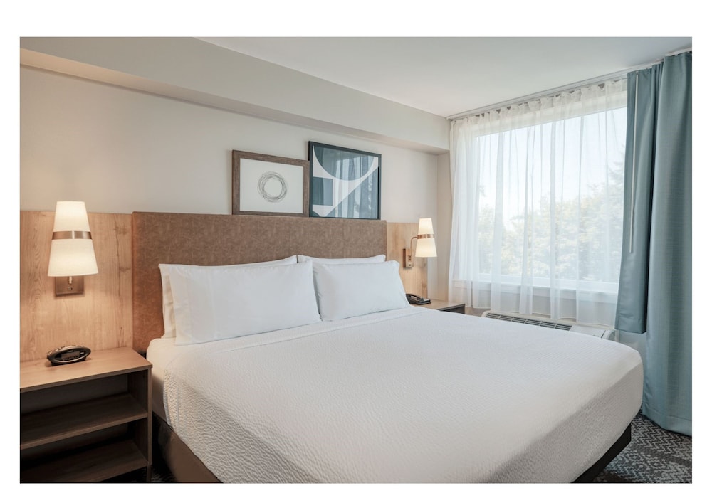 Studio Suite, 1 King Bed, Kitchen (Kitchen Area)