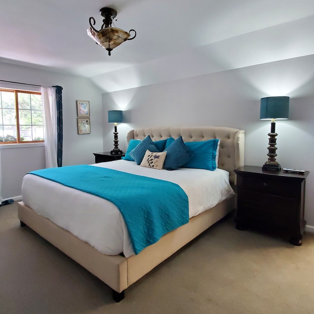Basic Single Room, 1 King Bed photo 1