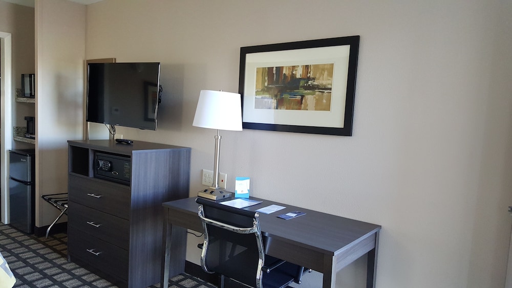 Room, 1 King Bed with Sofa bed, Accessible, Non Smoking (Roll-In Shower)
