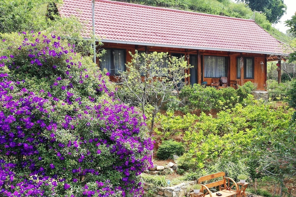Family Villa photo 1