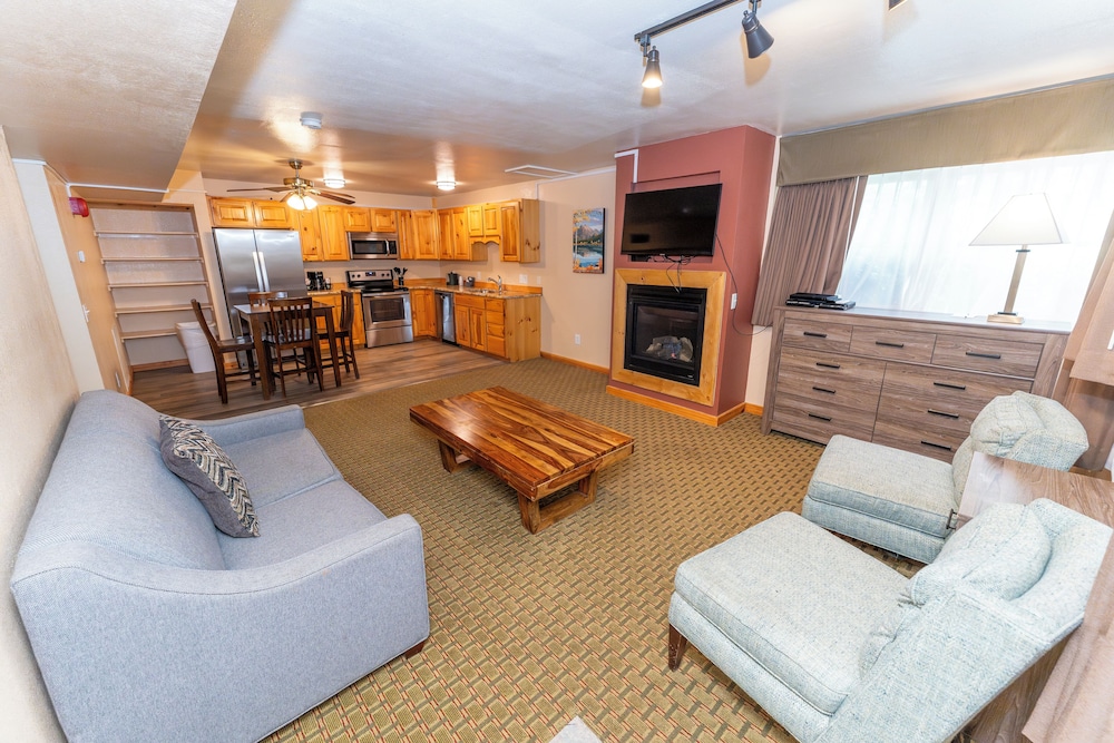 Basic Apartment