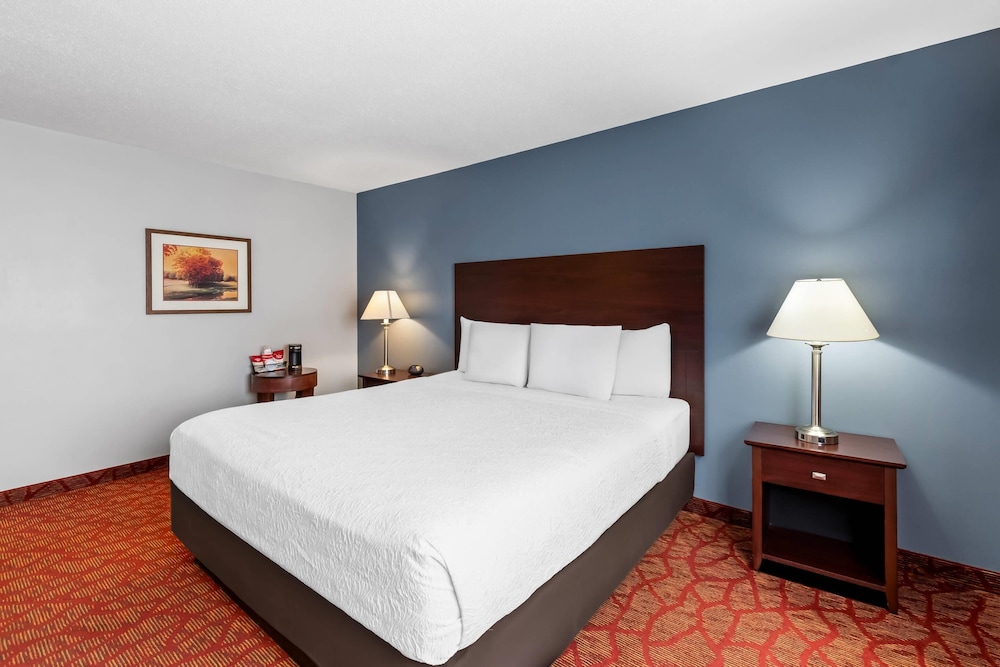 Room, 1 King Bed, Accessible, Non Smoking photo 2