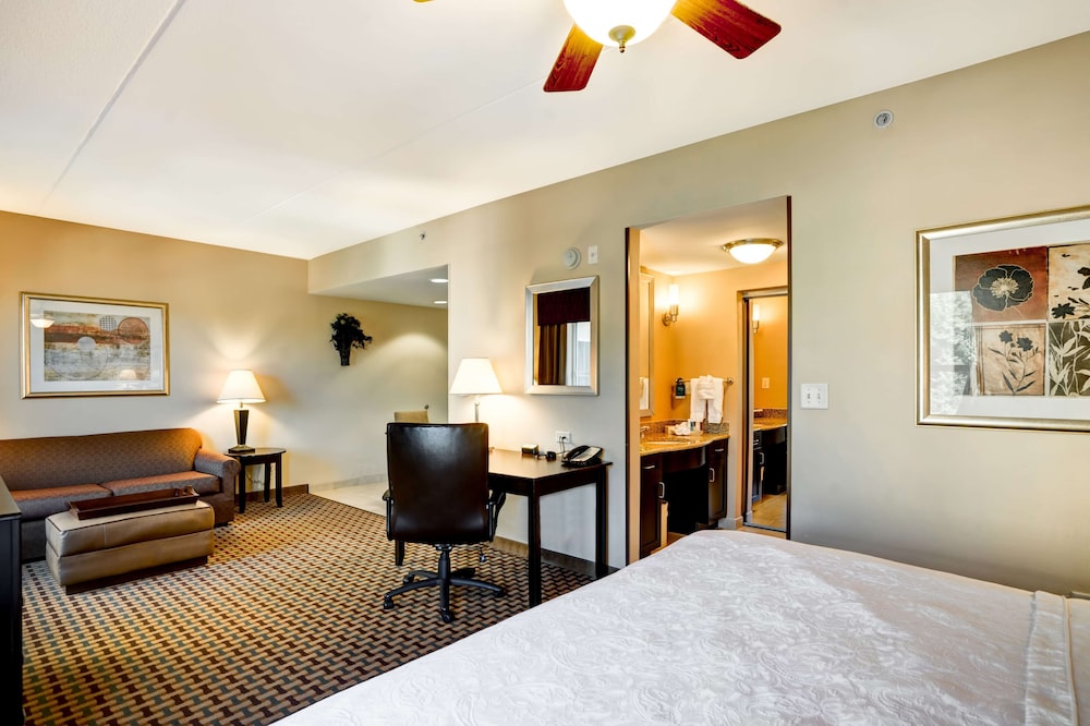 Studio Suite, 1 King Bed, Accessible (Hearing) - Photo 2