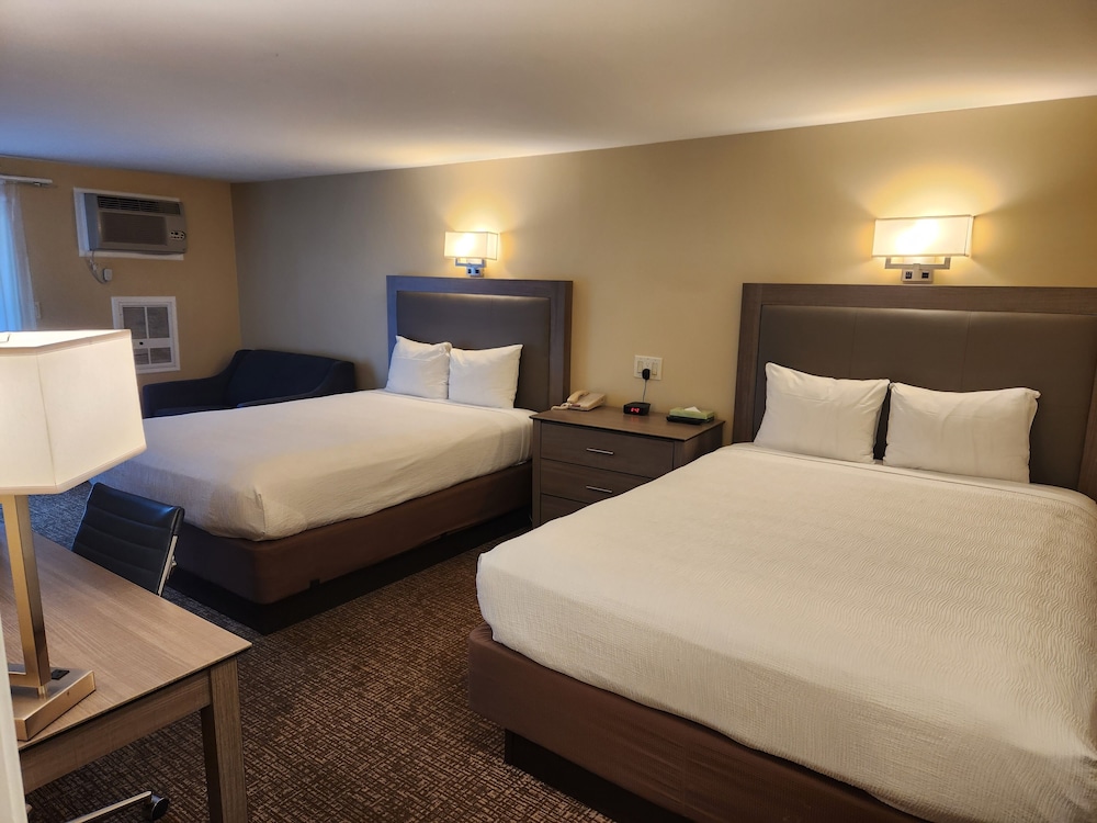 Standard Room, Multiple Beds photo 1