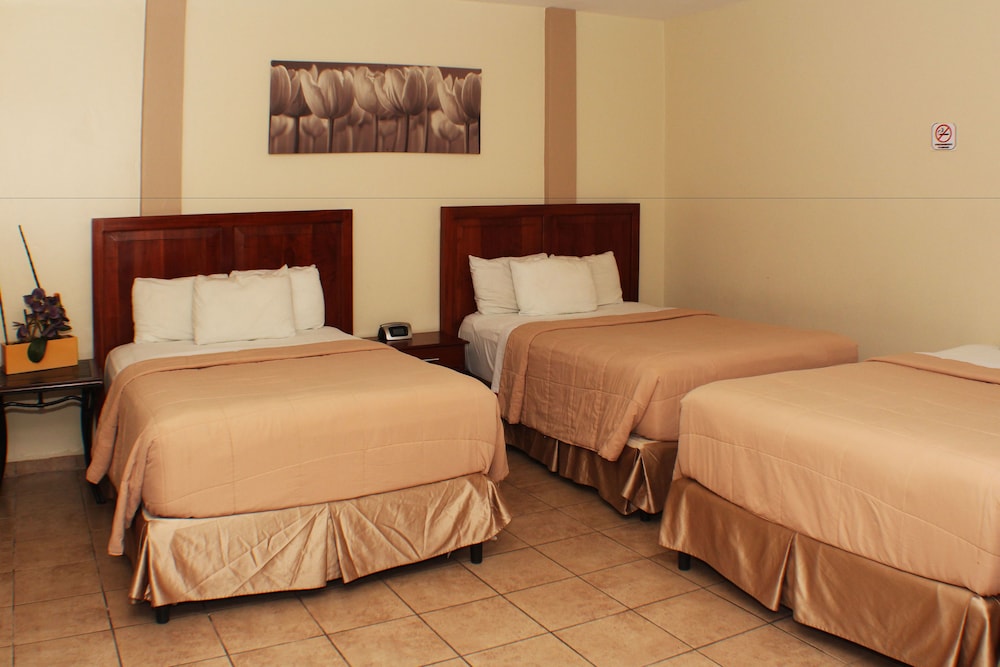 Triple Room photo 1
