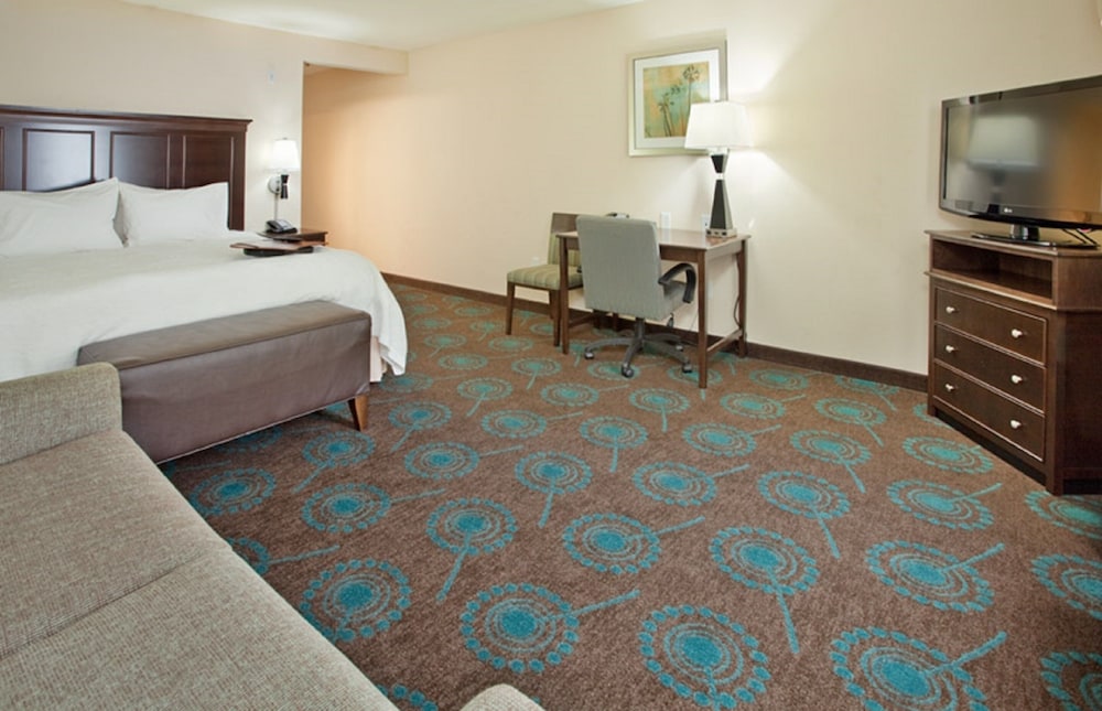 Room, 1 King Bed, Accessible - Photo 3