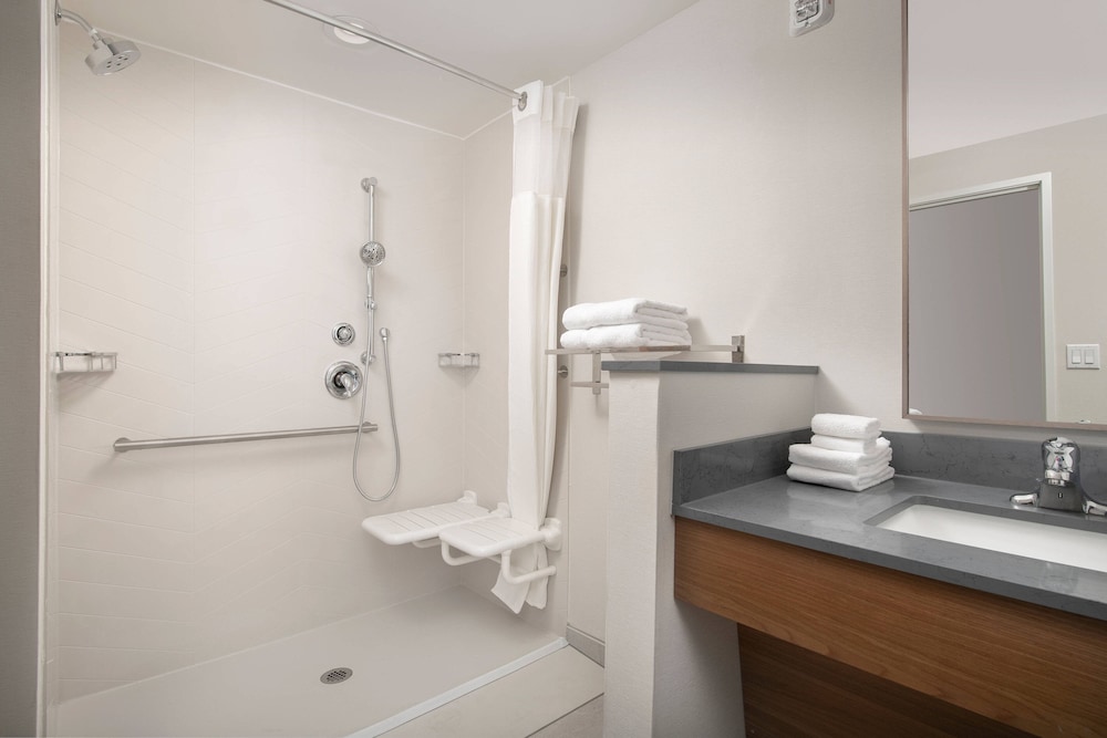 Room, 1 King Bed (Mobility Accessible, Roll-In Shower) - Photo 7
