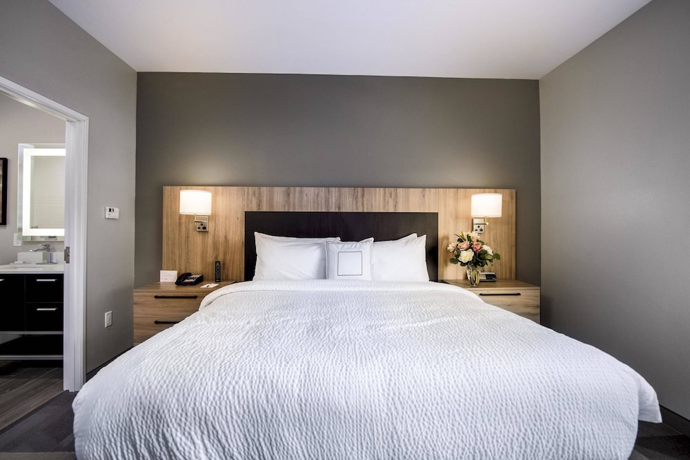 Studio, 1 King Bed with Sofa bed (Mobility Accessible, Tub)