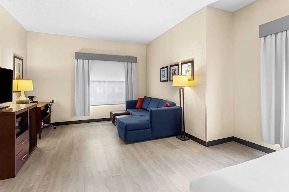 Suite, 1 King Bed with Sofa bed, Accessible, Non Smoking - Photo 6