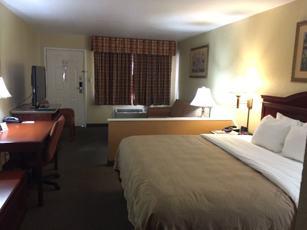 Suite, 1 King Bed with Sofa bed, Non Smoking - Photo 11