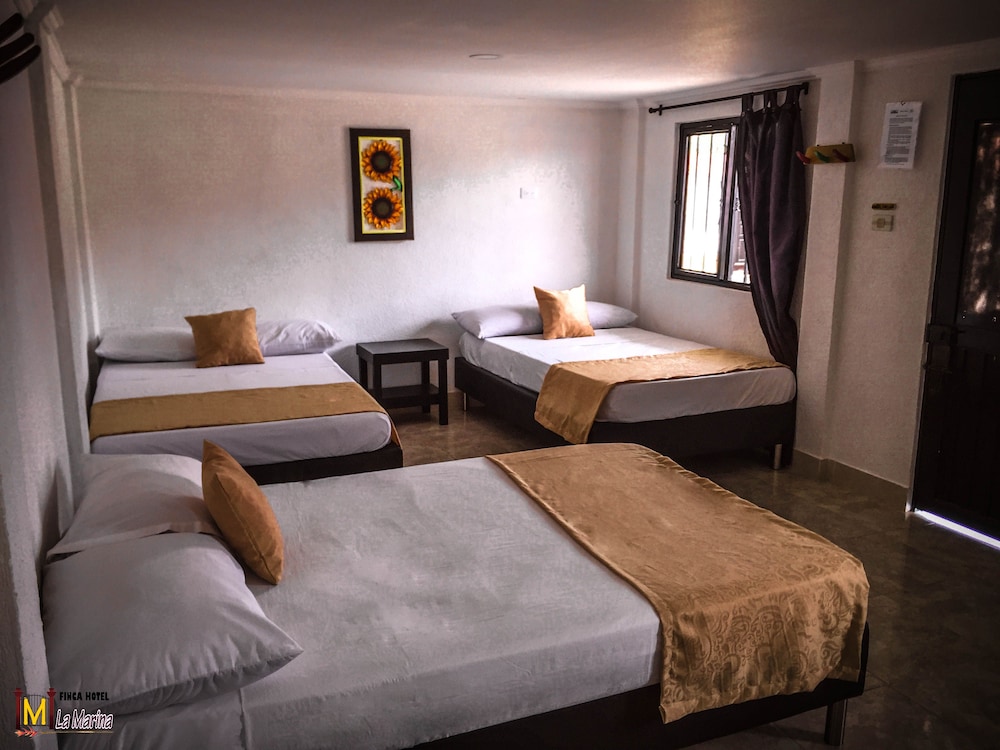 Triple Room photo 3