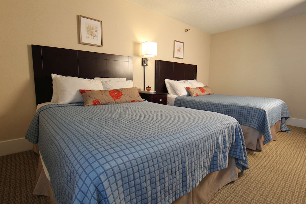 Standard Room, 2 Double Beds - Photo 9