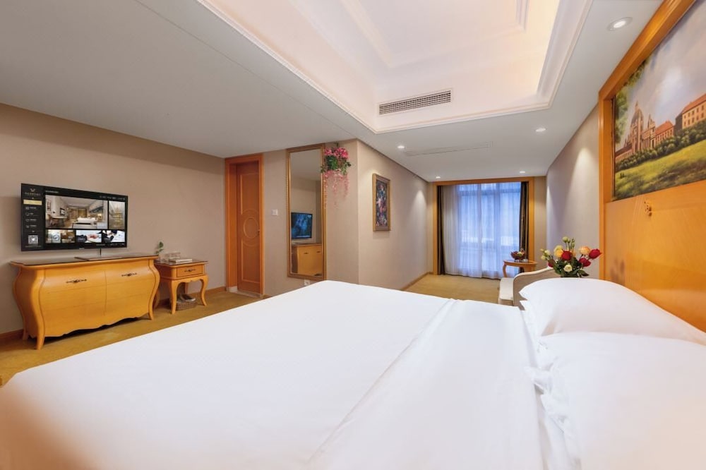 Comfort Single Room