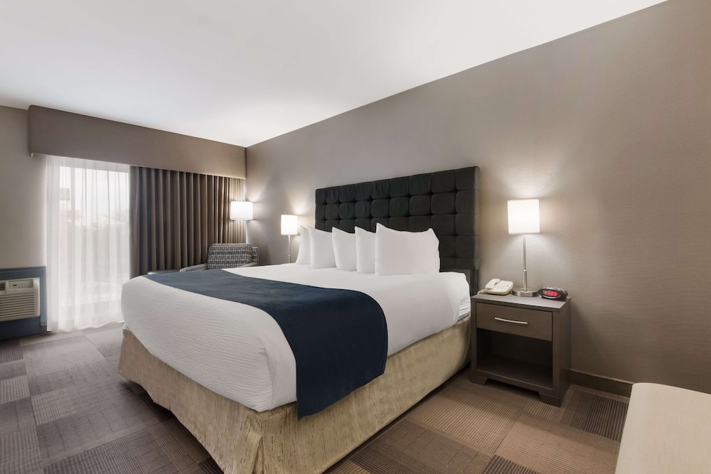 Standard Room, 1 King Bed, Accessible, Non Smoking - Photo 1