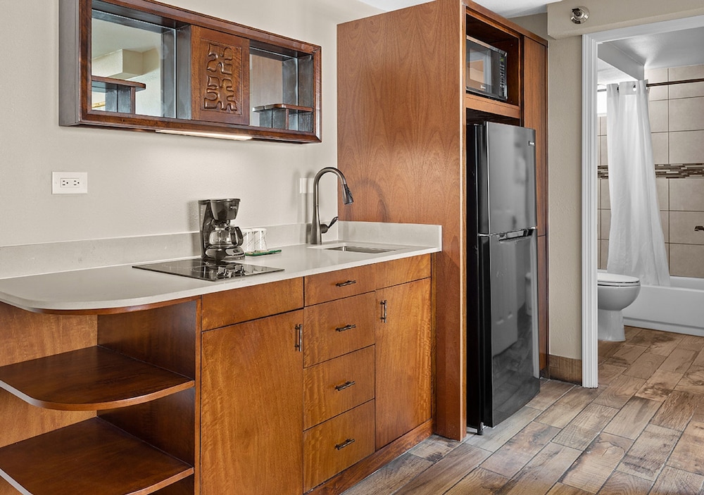 Suite, 1 Bedroom, Kitchen, City View - Photo 4