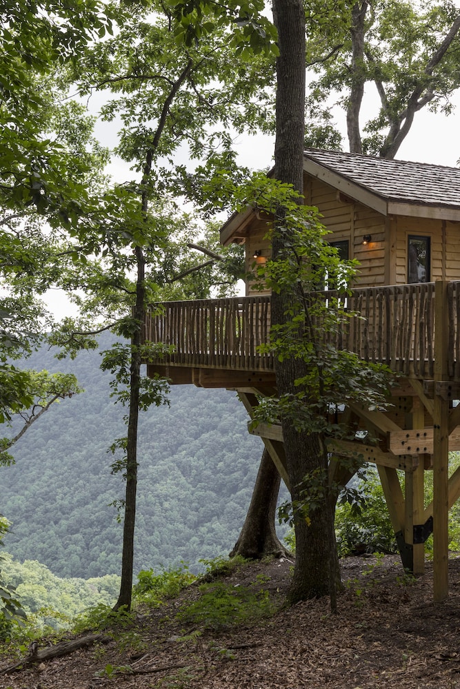 Tree House, 1 King Bed (Barn Owl, Adults Only) photo 3