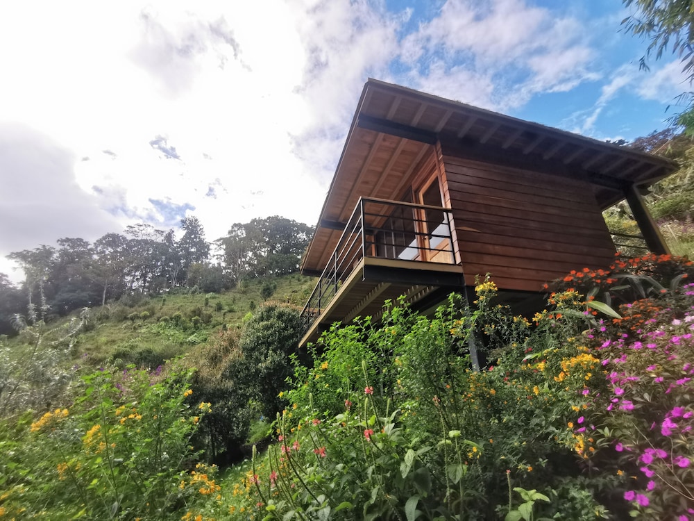 Luxury Cabin, Mountain View photo 3