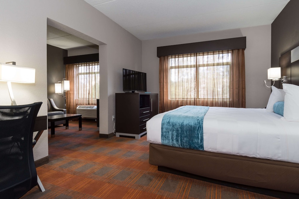 Suite, 1 King Bed, Non Smoking, Refrigerator & Microwave (with Sofabed) - Photo 1